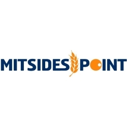 Mitsides Point