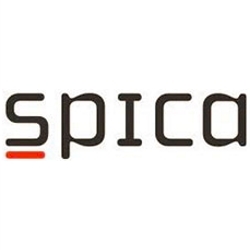 Špica