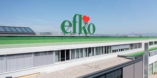 ERP upgrade at efko: Peak performance in food processing with Microsoft Dynamics