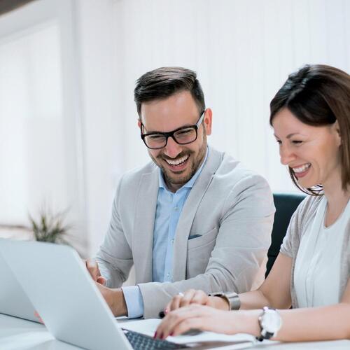 Sales Managers (Regional Sales Manager, Director of Sales) 
