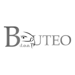 Buteo