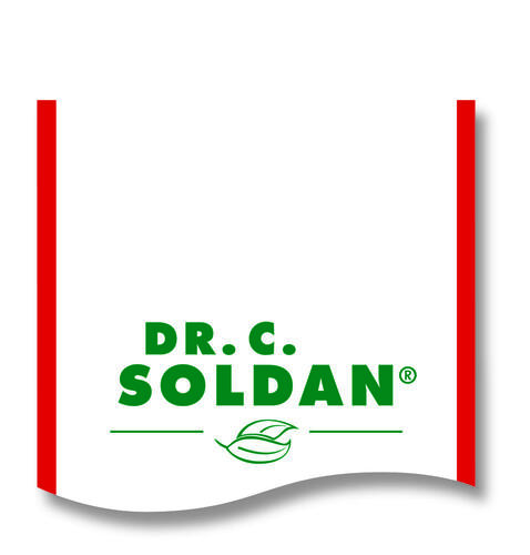 Soldan