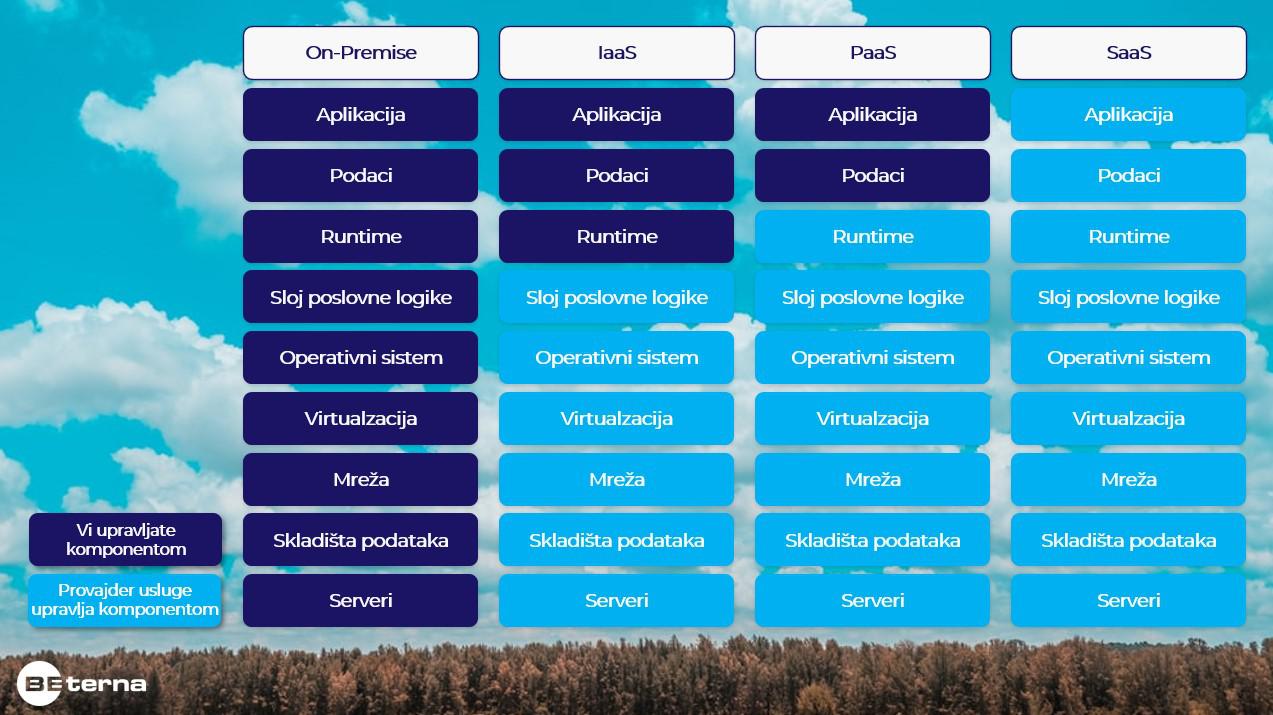 BE-terna SaaS Paas IaaS