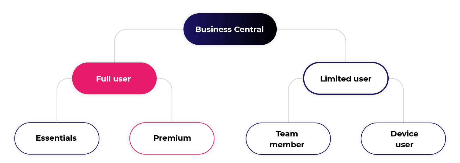 Dynamics 365 Business Central: Vrste licenci