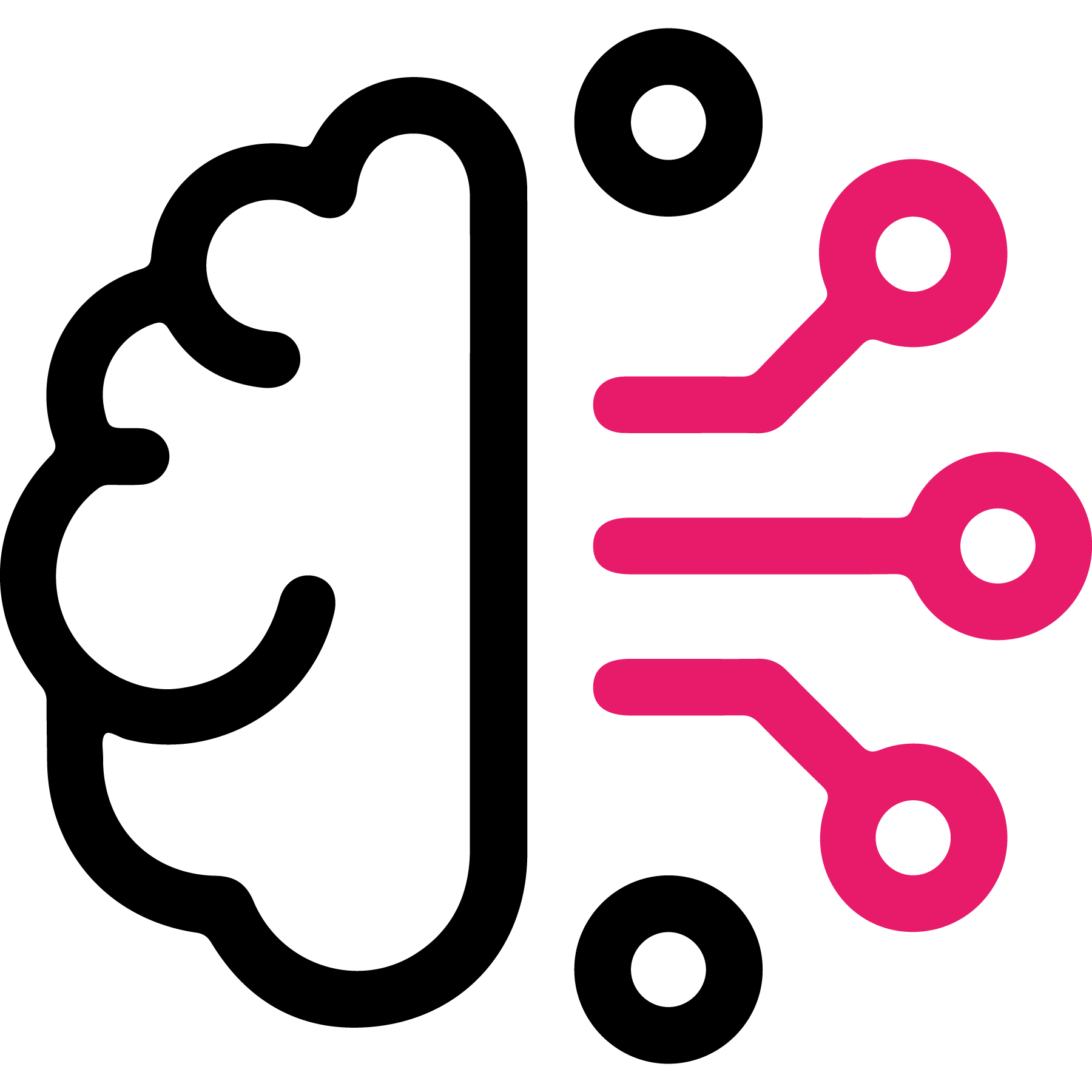 Data Scientist