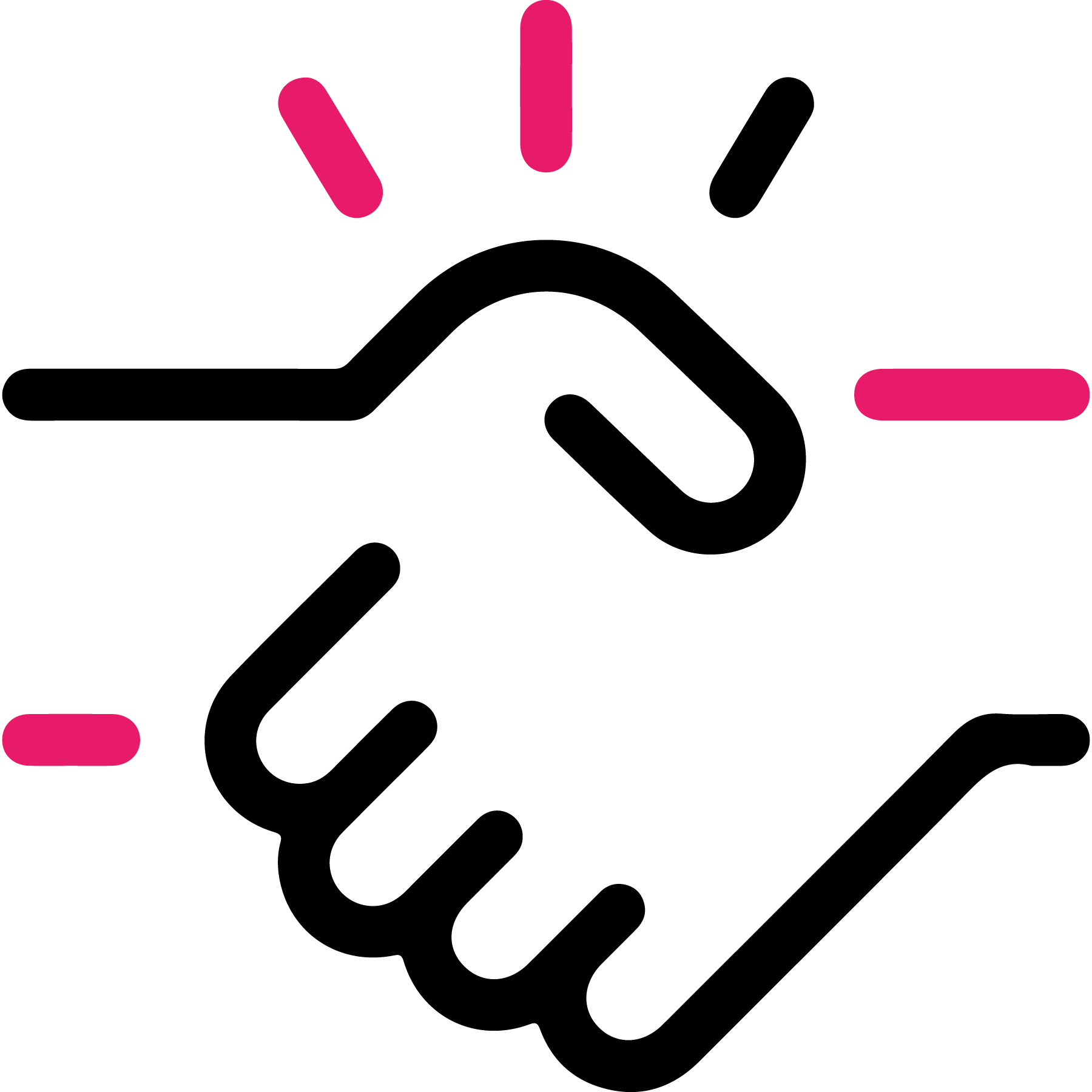 Partner Alliance