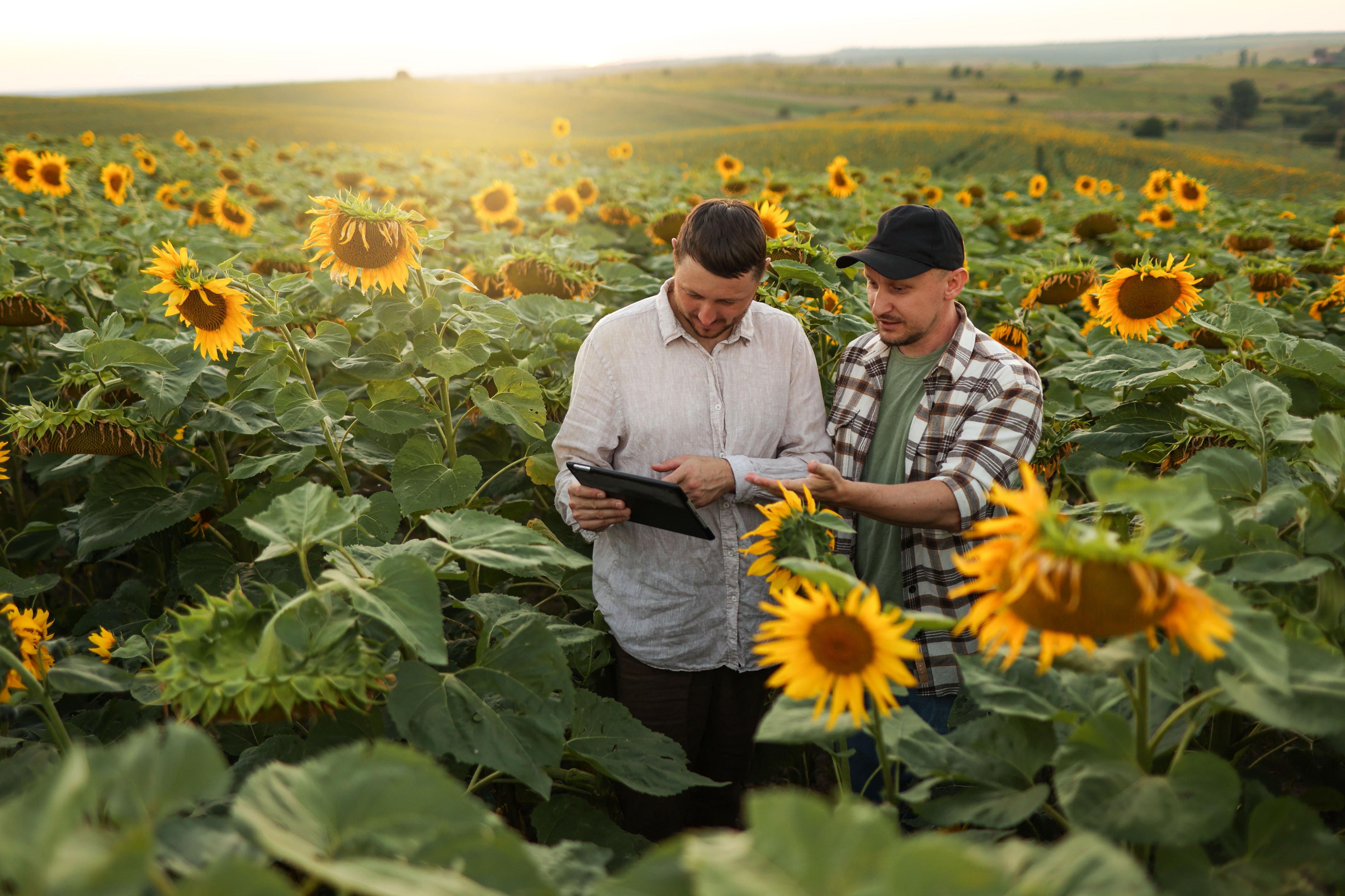 E-BOOK: Navigating Sustainability Legislation