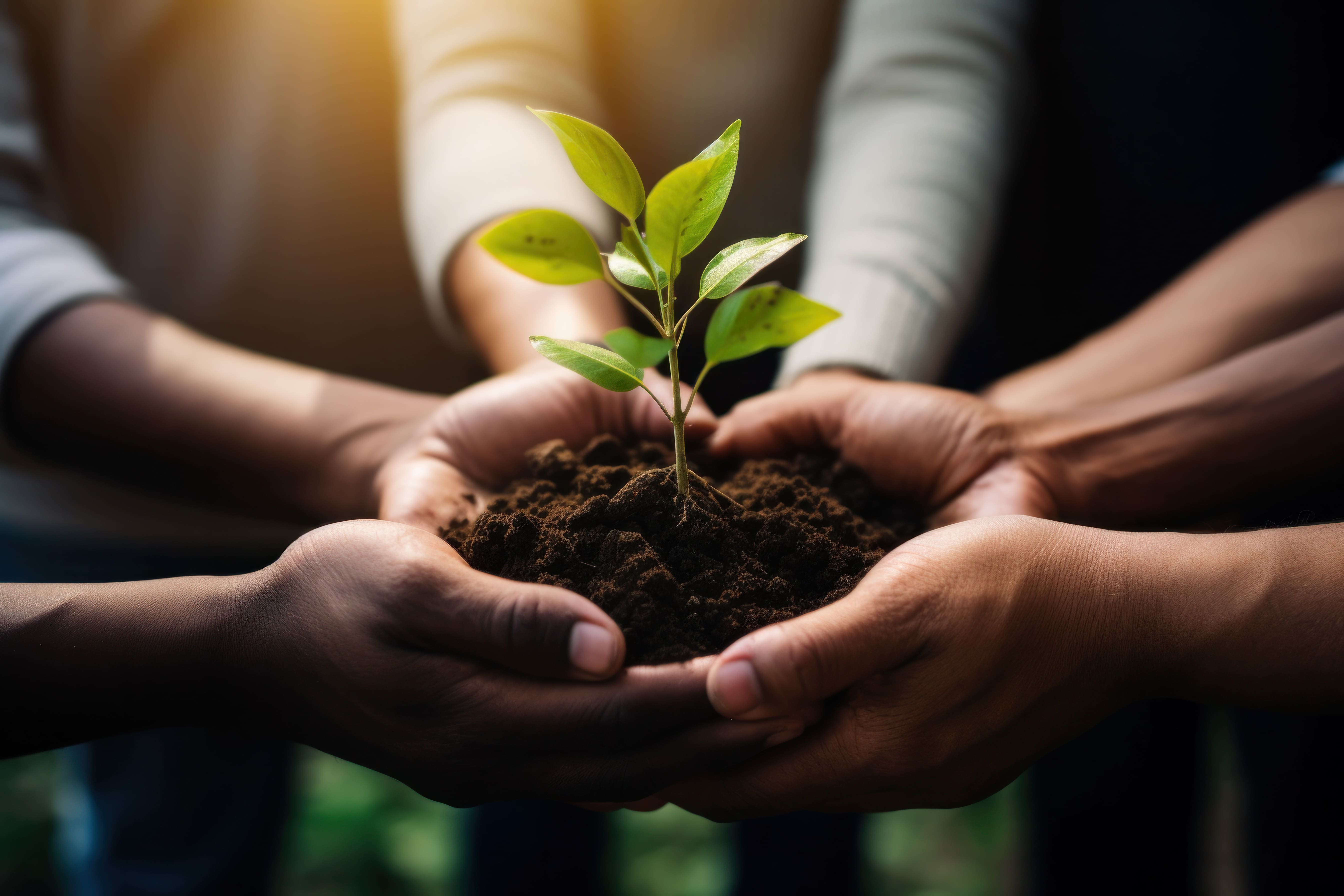 Investment and Asset Optimization